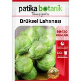 Patika Botanik 150 Adet Yerli Ata Brüksel Lahana Tohumu