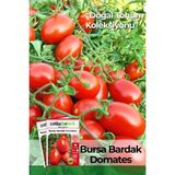 Patika Botanik 150 Adet Yerli Ata Bursa Domates Tohumu - 1 Paket