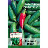 Patika Botanik 170 Adet Jalapeno Biber Tohumu