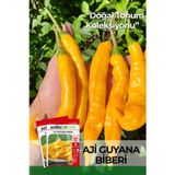 Patika Botanik 20 Adet Aji Guyana Biber Tohumu