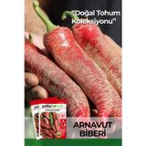 Patika Botanik 20 Adet Arnavut Biberi Tohumu