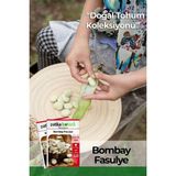 Patika Botanik 20 Adet Bombai Fasulye Tohumu - 1 Paket