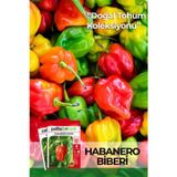 Patika Botanik 20 adet Habanero Biber Tohumu