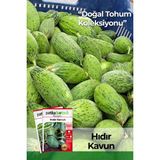 Patika Botanik 20 Adet Hıdır Kavun Tohumu - 1 Paket