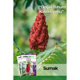 Patika Botanik 20 Adet Sumak Tohumu (Rhus Coriaria L.)