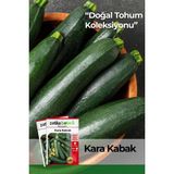 Patika Botanik 20 Adet Yerli Ata Kolsuz Kara Kabak Tohumu - 1 Paket