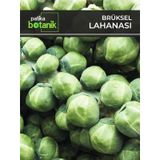 Patika Botanik 200 Adet Brüksel Lahana Tohumu