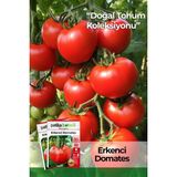 Patika Botanik 200 Adet Erkenci Domates Tohumu (Oturak) - 1 Paket