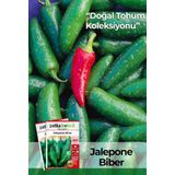 Patika Botanik 200 Adet Jalapeno Biber Tohumu