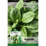 Patika Botanik 200 Adet Yerli Ata Yerli Ispanak Tohumu (Geniş Yaprak)