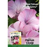Patika Botanik 25 Adet Pamuk Çiçeği Tohumu (Lavatera Trimestris)