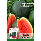 Patika Botanik 25 Adet Yerli Ata Siyah kara Karpuz Tohumu - 1 Paket