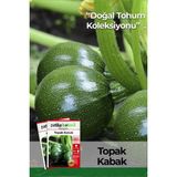 Patika Botanik 25 Adet Yerli Ata Topak Kabak Tohumu - 1 Paket