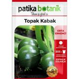 Patika Botanik 25 Adet Yerli Ata Topak Kabak Tohumu