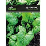Patika Botanik-250 Adet Yerli Ispanak Tohumu (Geniş Yaprak)