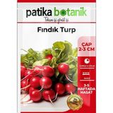 Patika Botanik 2500 Adet Yerli Ata Karışık Havuç Tohumu (SARI,TURUNCU, MOR, KIRMIZI)