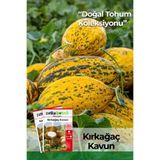 Patika Botanik 30 Adet Kırkağaç Kavun Tohumu