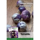 Patika Botanik 30 Adet Mor Altın Çilek (tomatillo) Tohumu