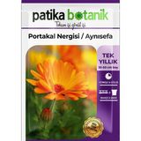 Patika Botanik 30 Adet Portakal Nergisi - Aynı Sefa Çiçek Tohumu
