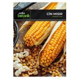 Patika Botanik 40 Adet Ata Tohumu Yerli Cin Mısır (POPCORN)