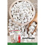 Patika Botanik 40 Adet Yerli Ata Kuru Fasulye Tohumu - 1 Paket