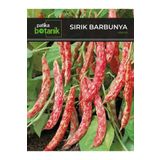 Patika Botanik 40 Adet Yerli Ata Sırık Barbunya Tohumu (Selim)