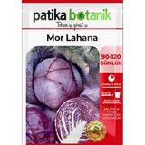 Patika Botanik 400 Adet Yerli Ata Kırmızı (Mor) Lahana Tohumu