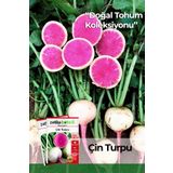 Patika Botanik 450 Adet Yerli Ata Çin Turp Tohumu