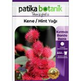 Patika Botanik 5 Adet Kene Çiçeği (ricinus Communis) Çiçek Tohumu