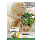 Patika Botanik 5 Adet Lif Kabağı Tohumu Kabak Tohumu (Luffa Aegyptiaca)