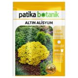 Patika Botanik 50 Adet Altın Alisyum Çiçek Tohumu - Çok Yıllık