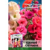 Patika Botanik 50 Adet Hatim Çiçeği (Alcea Rosea) Çiçek Tohumu - 1 Paket