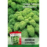 Patika Botanik 50 Adet Kıvırcık Lahana Tohumu
