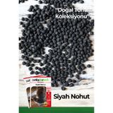 Patika Botanik 50 Adet Siyah Nohut Tohumu