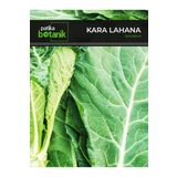 Patika Botanik 750 Adet Yerli Ata Kara (Yaprak) Lahana Tohumu