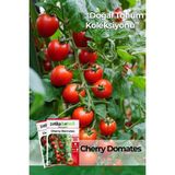 Patika Botanik 80 Adet Yerli Ata Cherry Domates Tohumu - 1 Paket
