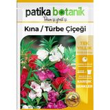 Patika Botanik Türbe Çiçeği (ımpatiens Balsamina) Çiçek Tohumu 30 Adet