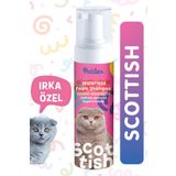 Patilex Scottish Fold Kedilere Özel Kuru Şampuanı, Irka Özel için, Tüy Sağlığı, Döküm Dökülmesi Önleyici