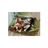 Patili Evler Köpek Yatağı Büyük Boy 65x85 Cm Karışık Renklerde Gönderilecektir
