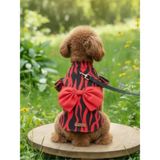 Patilinka Fırfırlı Ve Kurdeleli Poplin Köpek Gömleği (Kırmızı-Siyah)