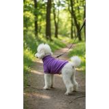 PATİLİNKA Kedi - Köpek Kaşkorse Esnek Mevsimlik Ceket - Mont - Yağmurluk - Yelek - Kıyafet