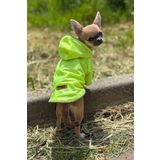 PATİLİNKA Kedi - Köpek Kıyafeti Kapşonlu Yeşil Yağmurluk & Mont