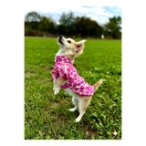 PATİLİNKA Kedi - Köpek Mevsimlik Valonlu Gömlek - Kıyafet - Elbise