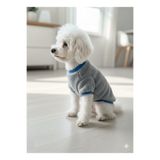 PATİLİNKA Kedi - Köpek Welsoft Yumuşak Peluş Sweat - Kıyafeti- Mont - Yelek