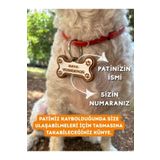 Patimin İzleri İsime Özel Zilli Kedi Ve Köpek Künyesi Ve Kolyesi ( 2. Resmi Okuyun )