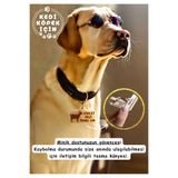 Patimin İzleri Kedi Ve Köpekler için Her Bedene Uygun Kişiye Özel Çıngıraklı Künye Ve İsimlik ( 2.Resmi Okuyun)