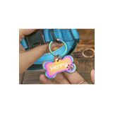 PATİMİO Isme Özel Çelik Kedi Köpek Isimlik Künyesi Rainbow