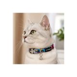 PATİMİO Kufu Ayarlanabilir, Metal Kilitli Çıngıraklı Kedi Boyun Tasması,İsimlik, Kedi Künyesi
