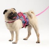 Patipatron Kaçış Önleyici Ayarlanabilir Küçük Irk ve Büyük Irk Köpek Göğüs Tasma Seti ve Gezdirme İpi (Etnik Pembe, M)