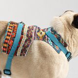 Patipatron Kaçış Önleyici Ayarlanabilir Küçük Irk ve Büyük Irk Köpek Göğüs Tasma Seti ve Gezdirme İpi (Kilim Desen Mavi, 3XL)